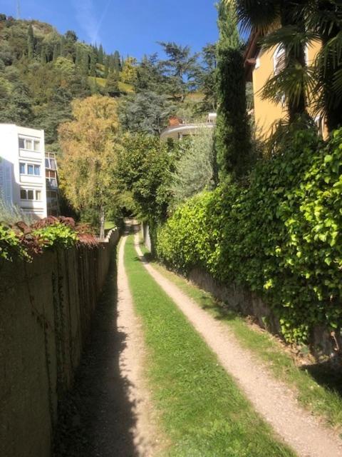 Torre Garden Home - Casa Singola Nella Citta Di Bolzano Con Giardino Privato Eksteriør billede